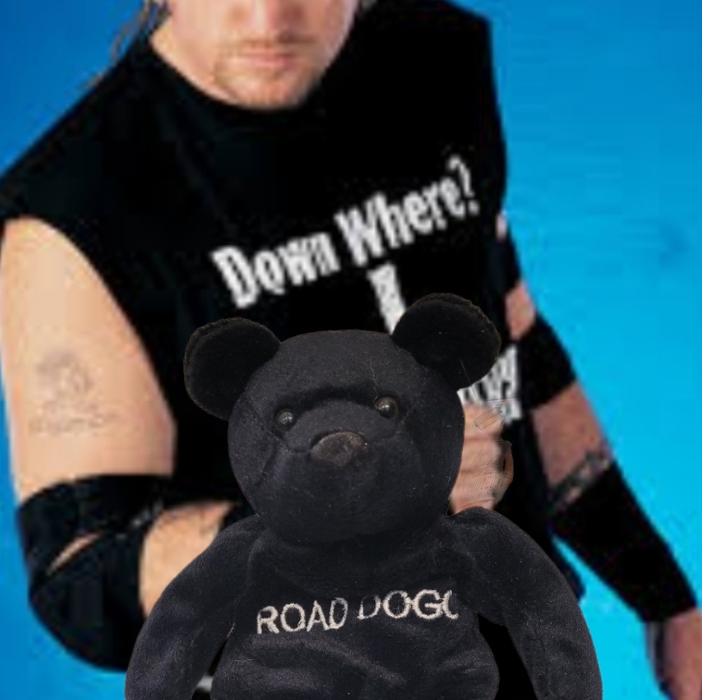 Vintage July 1999 WWF "Road Dogg Jessie James" Attitude Beanie Bear